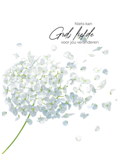 Niets kan Gods liefde voor jou verandere
