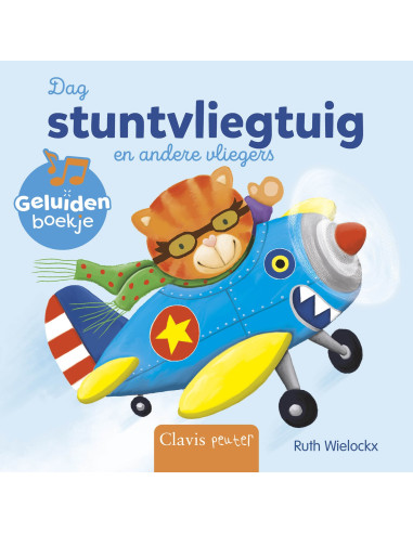 Dag stuntvliegtuig en andere vliegers