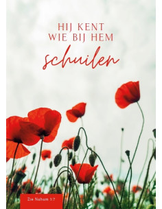 Wenskaart gefeliciteerd