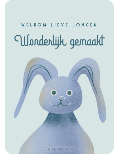 Kaart welkom lieve jongen