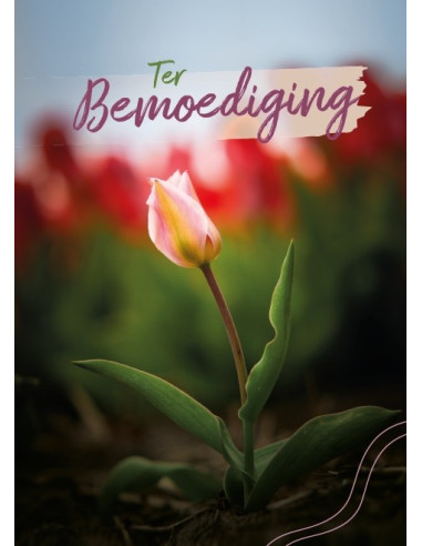 Bemoediging