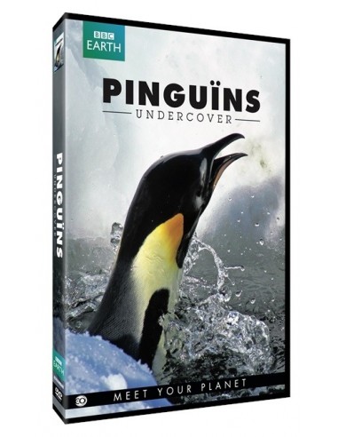 PINGUINS UNDERCOVER