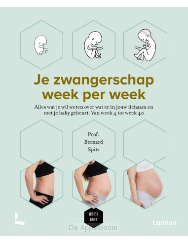 Je zwangerschap week per week