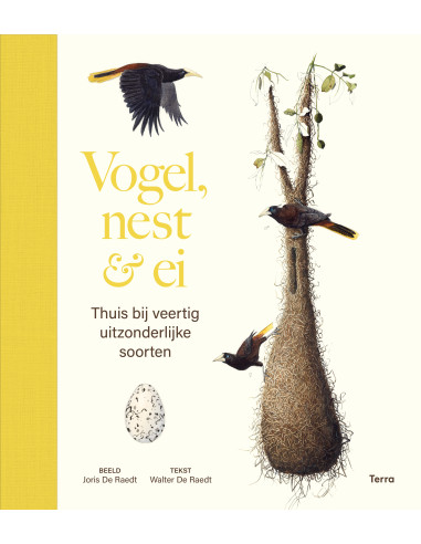 Vogel, nest & ei