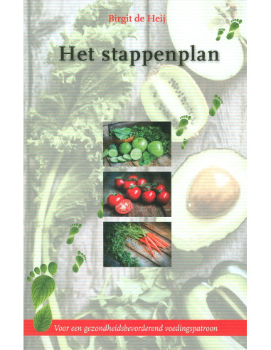 Stappenplan
