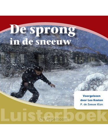 Sprong in de sneeuw LUISTERBOEK