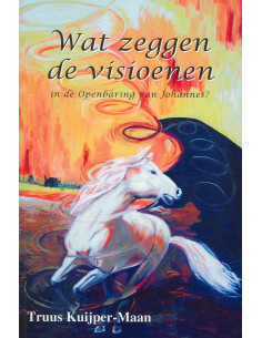 Wat zeggen de visioenen