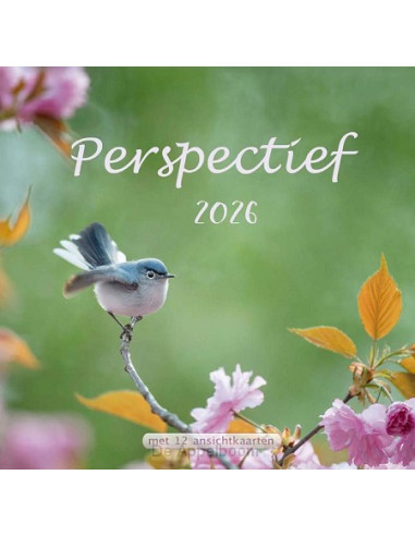 Kalender 2023 perspectief NBV
