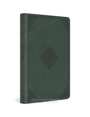 	ESV - Large Print Value Thinline Bible