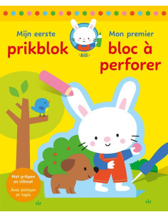 Mijn eerste prikblok -...