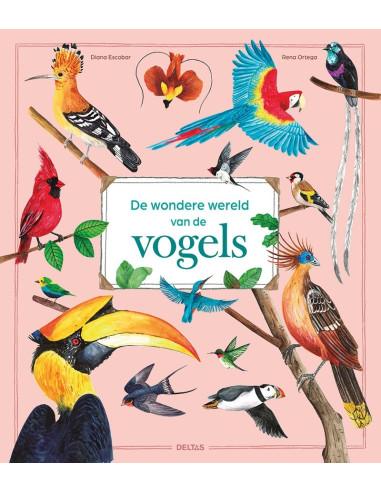 De wondere wereld van de vogels
