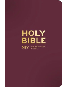 NIV Pocket Bible with Gold Zip