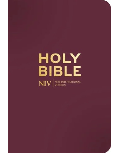 NIV Pocket Bible with Gold Zip