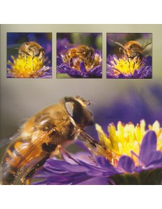 Wenskaart bloem met bij