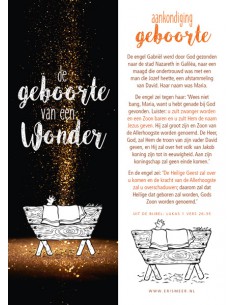 Boekenlegger De geboorte...