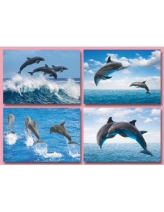 Ansichtkaart Dolfijnen