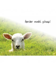 Choice kaartje herder zoekt...