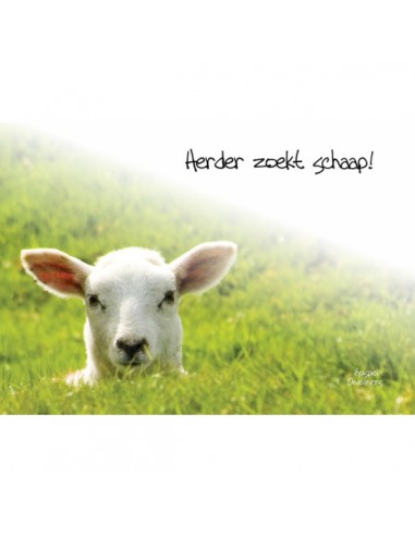 Choice kaartje herder zoekt schaap