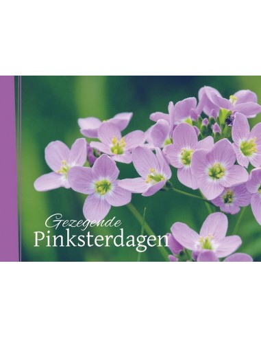 Pbk Pinksteren