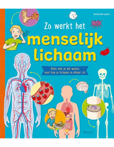 Zo werkt het menselijk lichaam