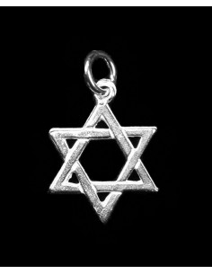 Hanger zilver davidster groot
