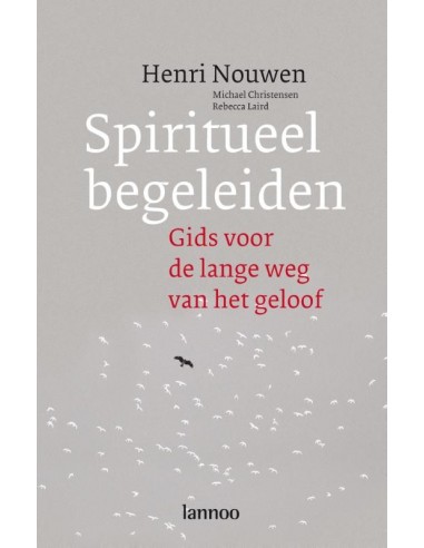 Spiritueel begeleiden (POD)