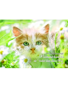 20-23 10x hoogglans zonder...