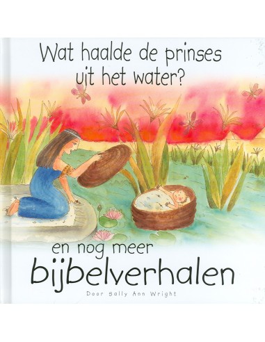 Wat haalde de prinses uit het water