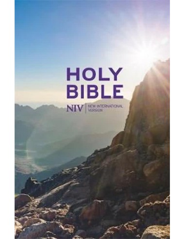 NIV thinline value bible colour hardback