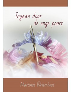 Ingaan door de enge poort