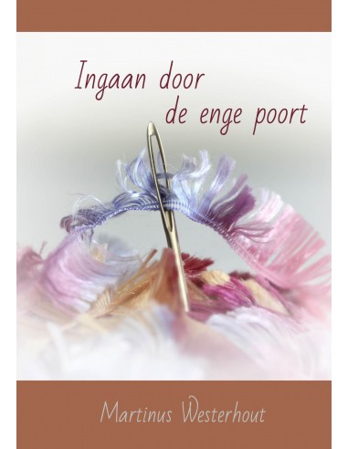 Ingaan door de enge poort