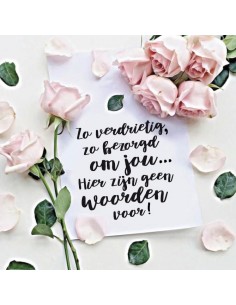 Plotseling verlies (160 x...