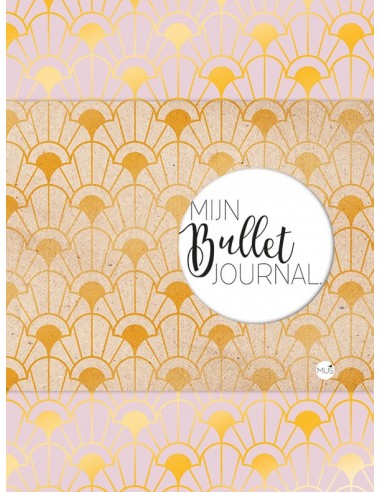 Mijn bullet journal retrochic roze