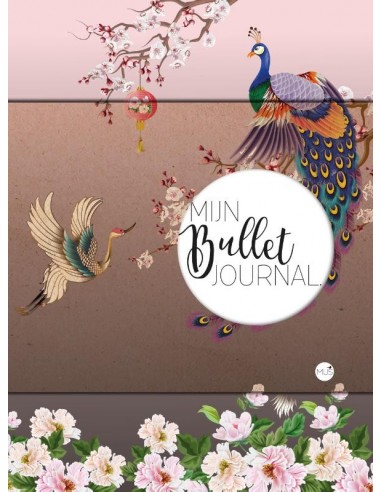 Mijn bullet journal - japan