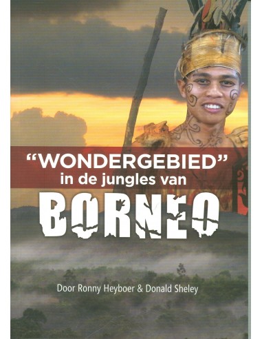 Wondergebied in de jungles van borneo