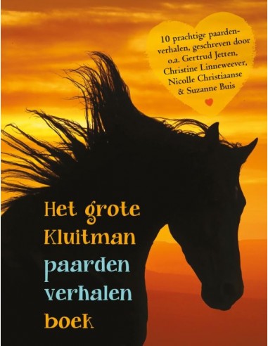 Grote kluitman paardenverhalenboek