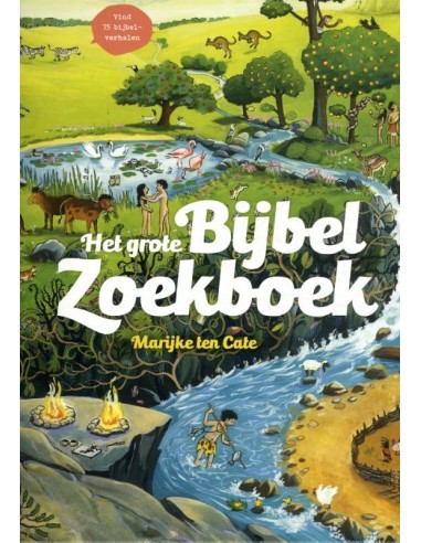 Het grote bijbel zoekboek