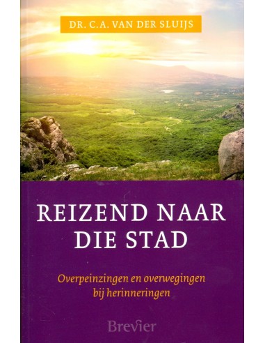 Reizend naar die stad