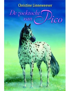 Zoektocht van Pico