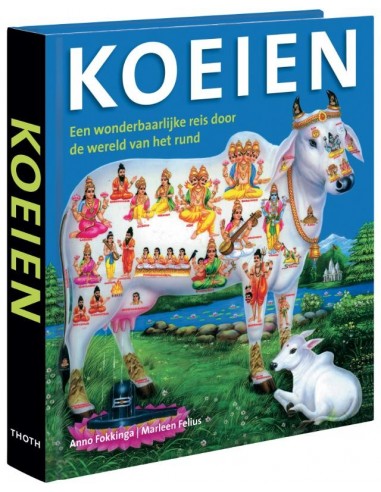 Koeien