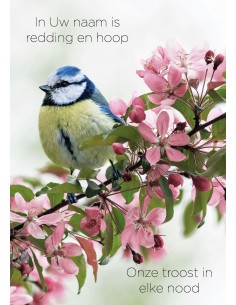 Poster in Uw naam is...