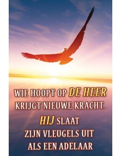 Wie hoopt op de Heer