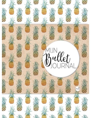 Mijn Bullet Journal - ananas