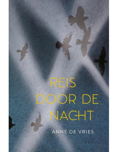 Reis door de nacht