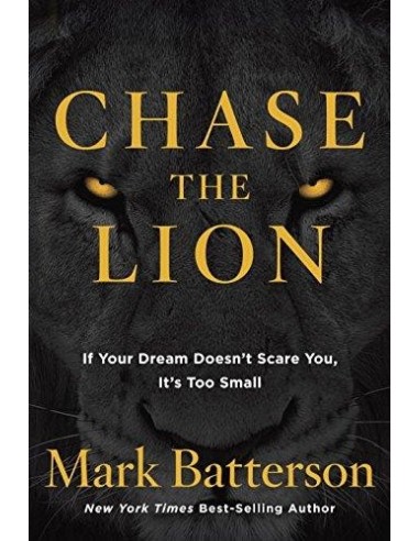 Chase the lion