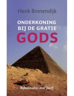 Onderkoning bij de gratie Gods