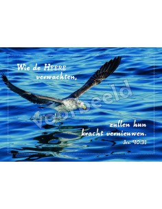 20-15 10x hoogglans zonder...