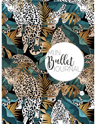 Mijn bullet journal jaguar jewel