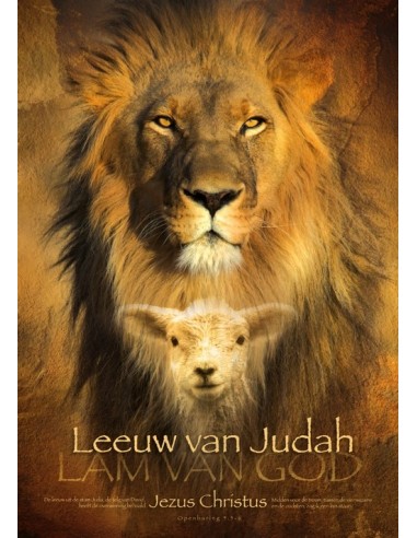 Poster A3 Leeuw van Judah
