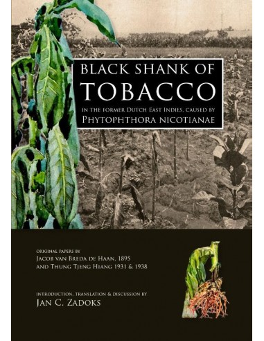 Black shank of tobacco in the former Dut